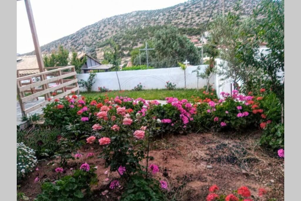 Lagonisi Magic Home Relaxation Kalivia Thorikou Exterior foto